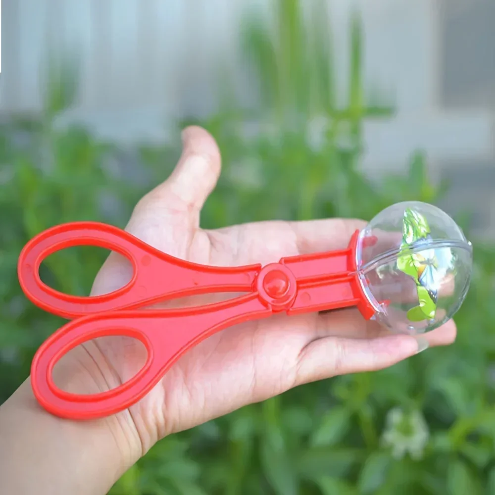 カラフルな大きなビーズ付き虫捕りクリップはさみ、子供用屋外冒 - Outdoor Adventure Activities のレビューと価格