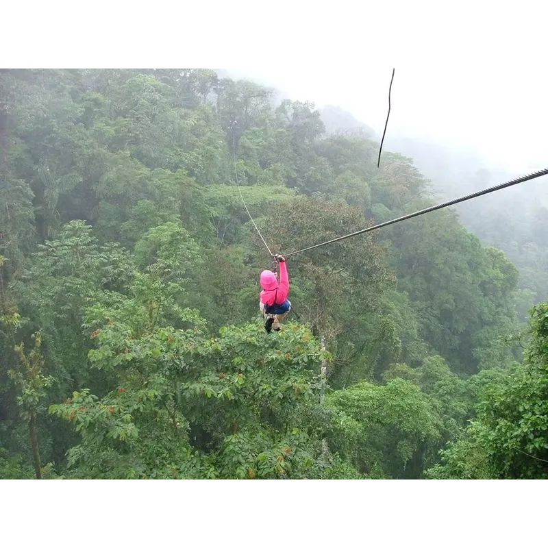 カスタマイズ可能なヘビーデューティージャングルジップライン（ - Outdoor Adventure Zipline のレビューと価格