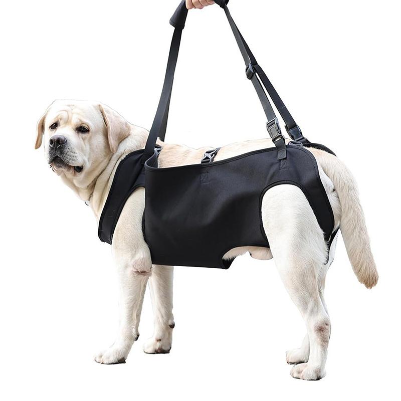 犬用階段補助リーシュ、高齢犬用サポートスリング、調節可能なペ - Harness Climbing Adjustable のレビューと価格