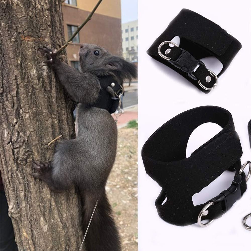 調整可能なラットハーネスとリーシュセット 3サイズ ベスト  - Harness Climbing Adjustable のレビューと価格