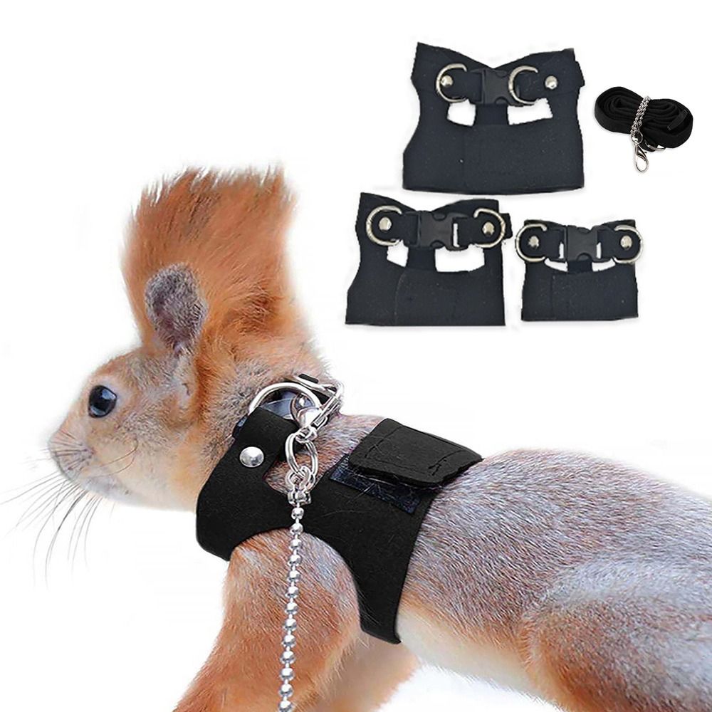 調整可能なラットハーネスとリーシュセット 3サイズ ベスト  - Harness Climbing Adjustable のレビューと価格