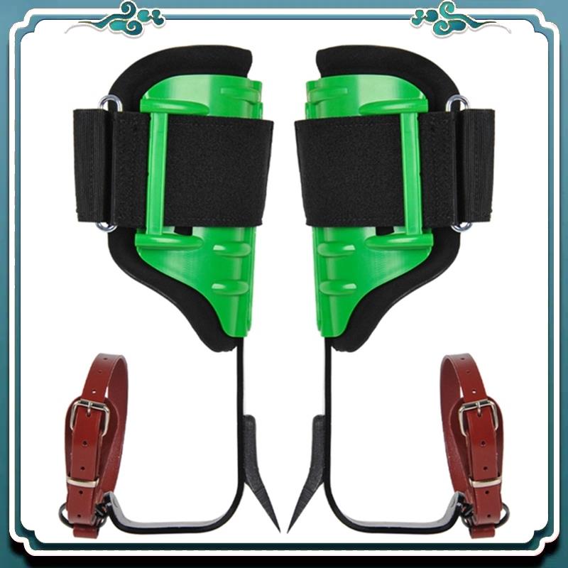 観察、果物の収穫のための信頼性の高い調整可能な木登りスパイク - Harness Climbing Adjustable のレビューと価格